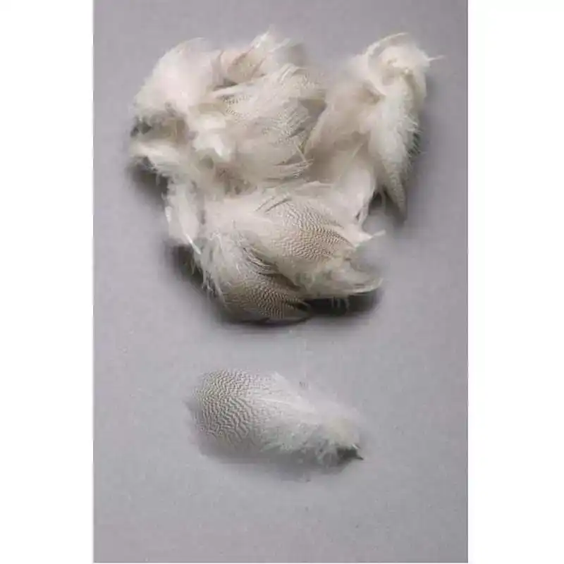 Weekendaanbieding Mallard Flank