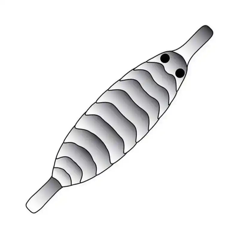 Snelle Levering Pro Gammarus Shell Back