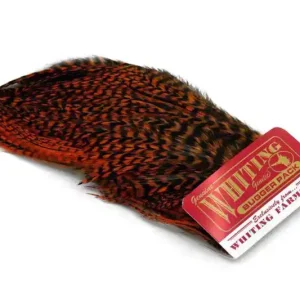 Whiting Bugger Pack Koop Vandaag