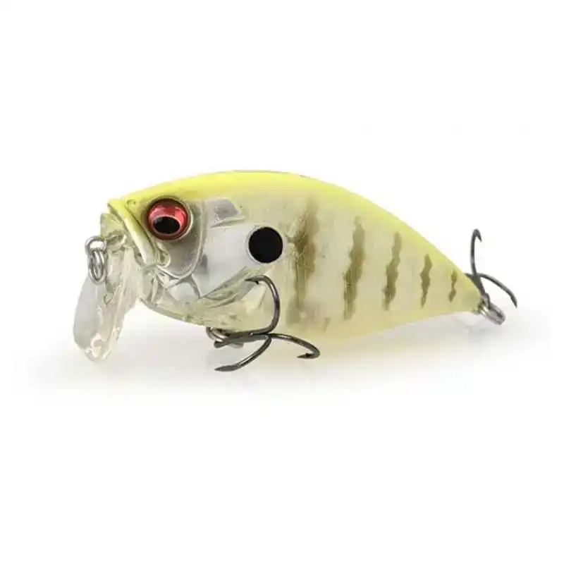 ORC Burning Shad LBO Finale Uitverkoop