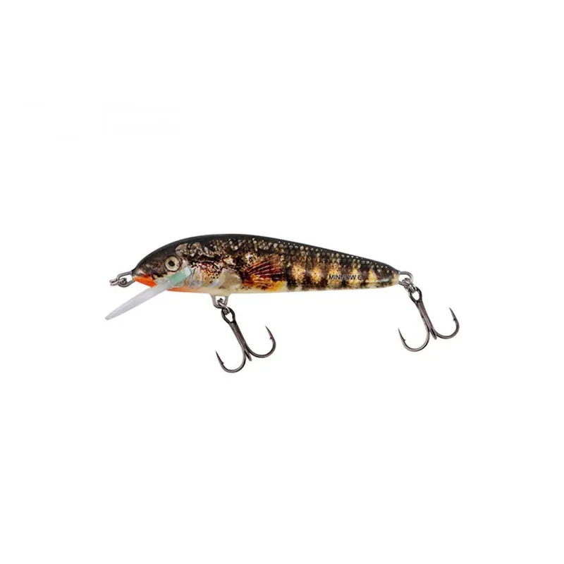 Alleen Vandaag Salmo Minnow 6f Holo Stickleback - Plug -