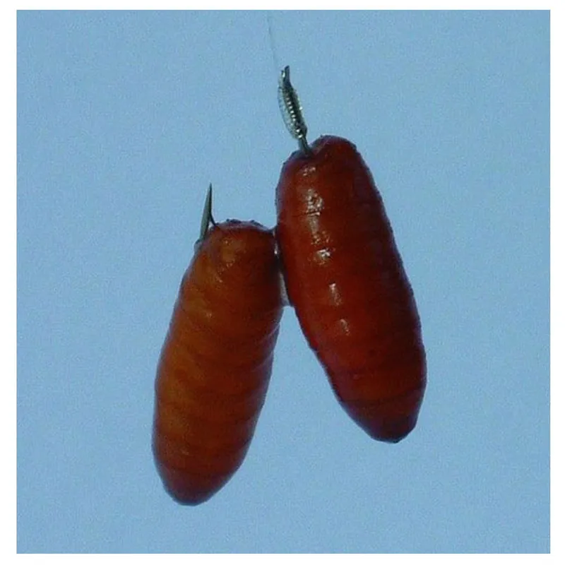 Koopje Gamakatsu Booklet Br.Feeder 1810b #8-0.18mm 100cm - Vishaak -