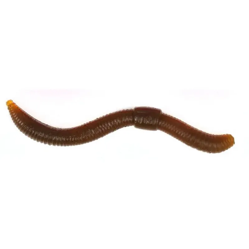 Premium Trout Master Dendrobaena - Imitatie aas - 210 cm 12 g Natural