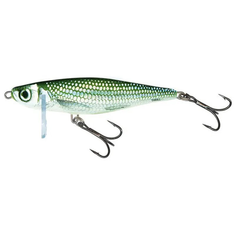 Exclusieve Aanbieding Salmo Thrill Snk - Swingers & hangers - 5 cm Holo Bleak
