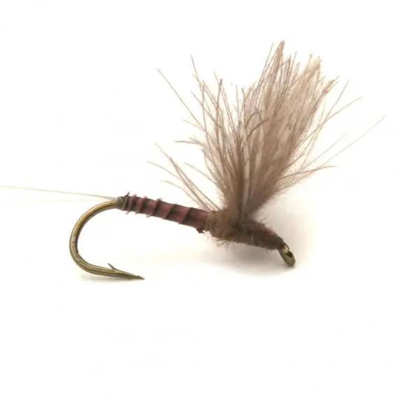 Gratis Retour CDC Biot Comparadun Quill G #14