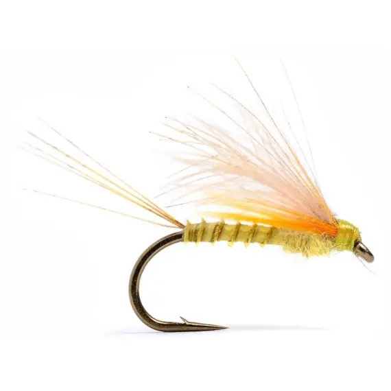Aanbieding CDC Biot Dun Emerger PMD #14