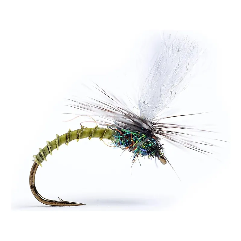 Favoriet Klink Lt. Olive Biot #16