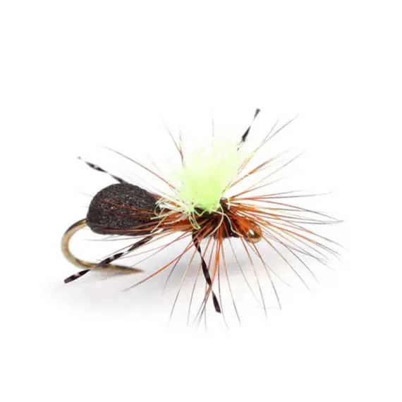 Op = Op Guideline High-Viz Rufa Ant - #14