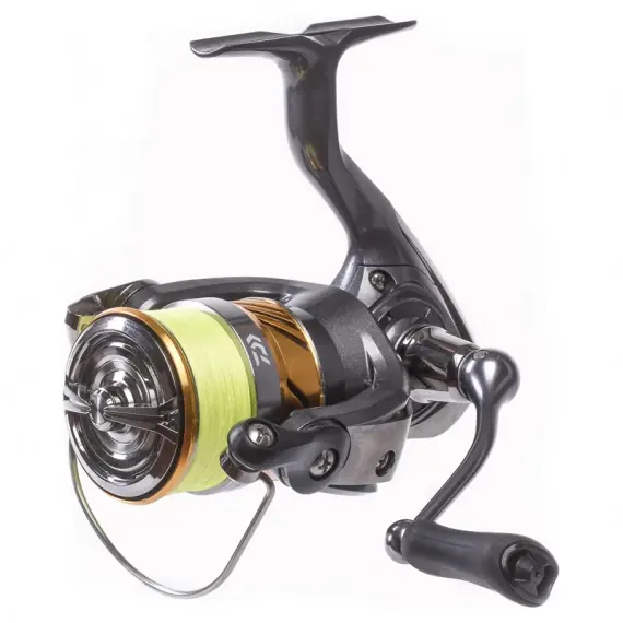 Must-Have Daiwa 20 Laguna LT incl. J-Braid X4 YL - 2000, 0.13mm