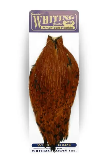 Nu Kopen Whiting American Rooster Cape Black