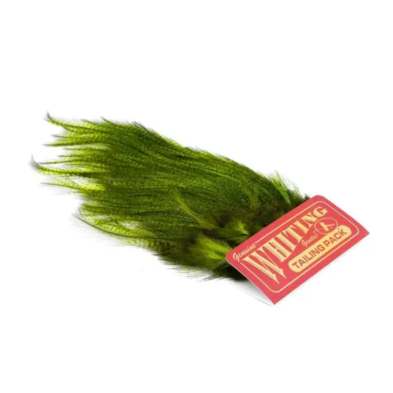 Whiting CDL Euro Nymph Tailing Pack Pardo dyed Fl Green Chartreuse Seizoensaanbieding