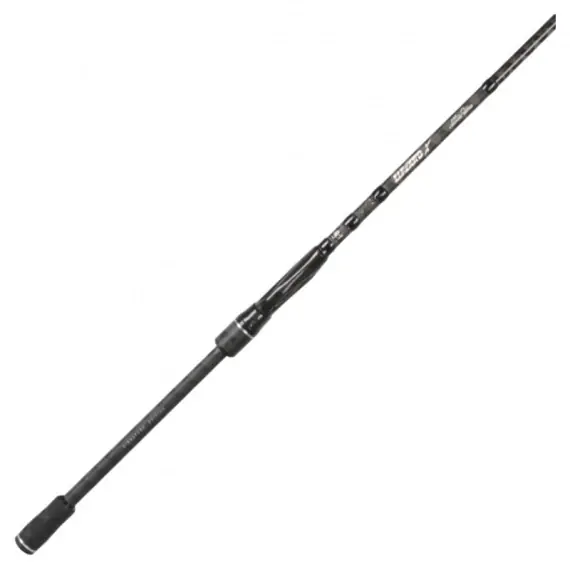Beperkte Voorraad BFT Lizzard X 8'1'' XH -70g, 2 pcs Evert Oostdam
