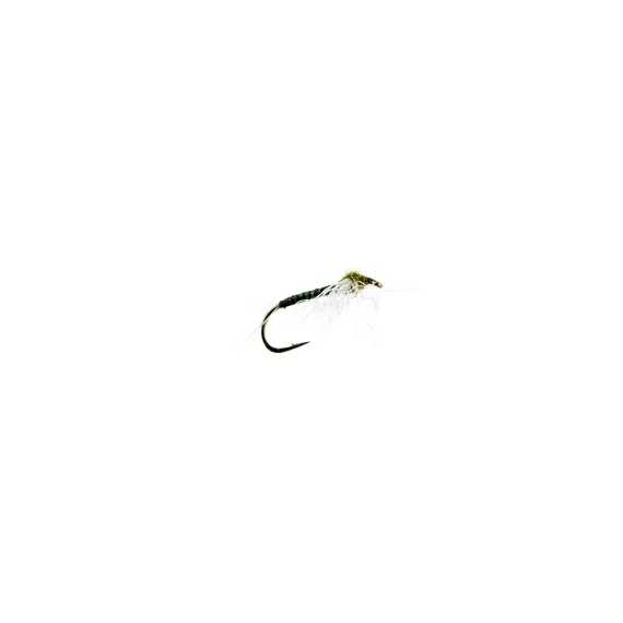 Direct Beschikbaar Quill Spent Olive # 14