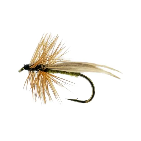 Europa 12 Olive # 14 Laatste Versie