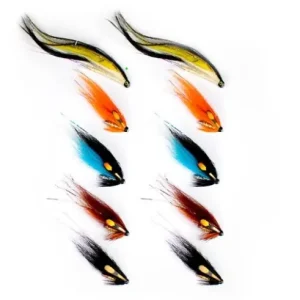 Fly Assortment Salmon High Water Gecertificeerd