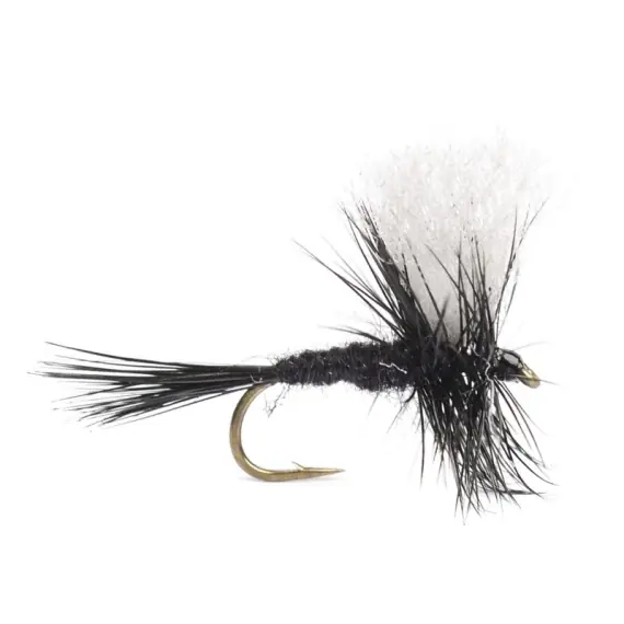 Black Gnat # 14 Populair