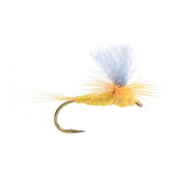 Beste Prijs Yellow Mayflay Dun # 12