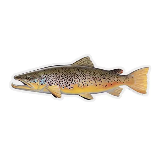 Gratis Retour RepYourWater Sticker - Brown Trout