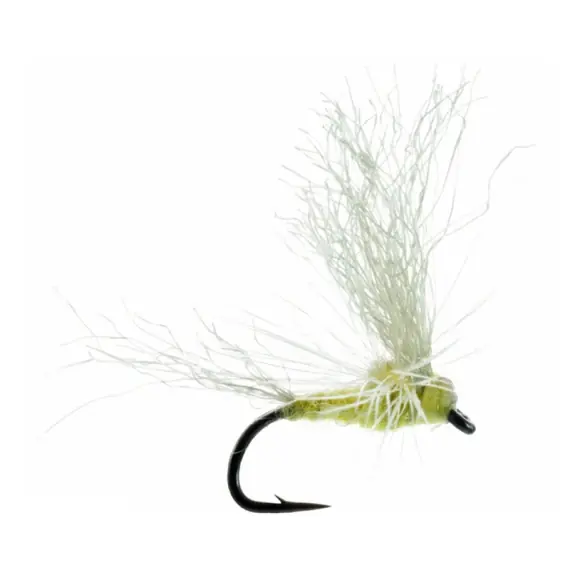 Populair Umpqua May Day PMD - #19