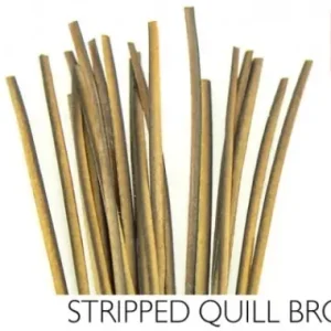 Actieprijs Polish Quill Hand Stripped Quill Brown