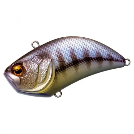 Populair Raid Level Vib - 010. Chi Gill