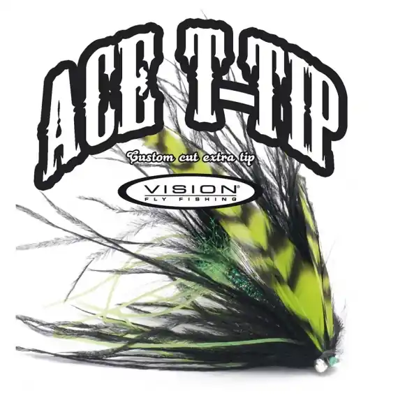 Snelle Levering Vision ACE T17 - tip 10ft