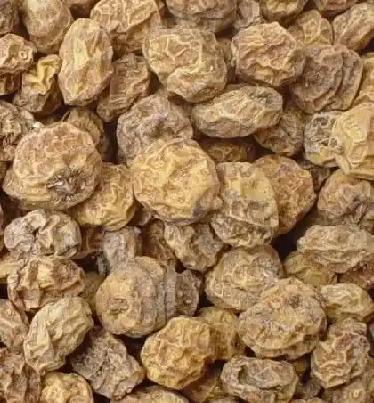 Tijgernoten Groot 20 KG Direct Beschikbaar