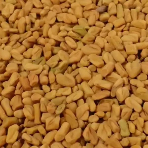 Beste Prijs Fenegriek Zaad 1 Kg