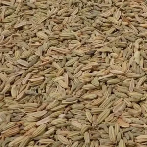 Venkelzaad 500 Gram Favoriet