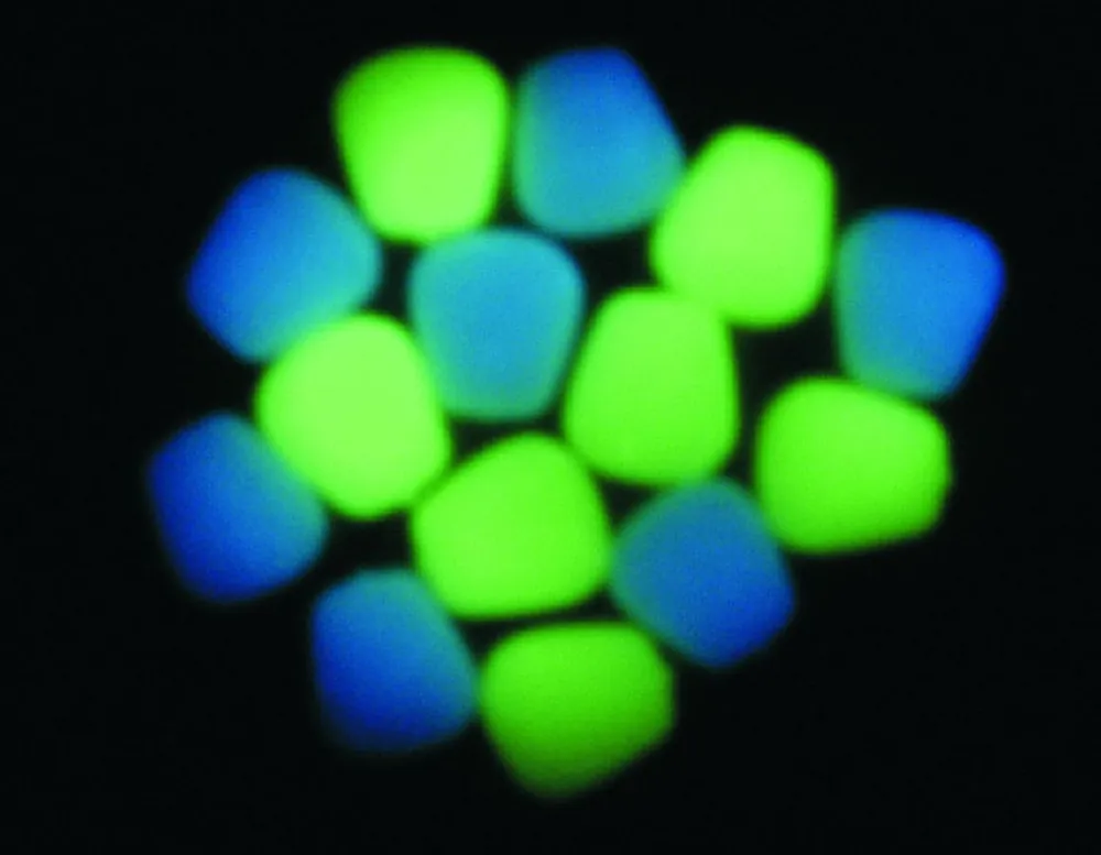 Direct Verzonden Enterprise Tackle Niteglow Corn Uv-Kit