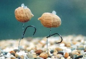 Direct Verzonden Enterprise Tackle Popup Tigernut