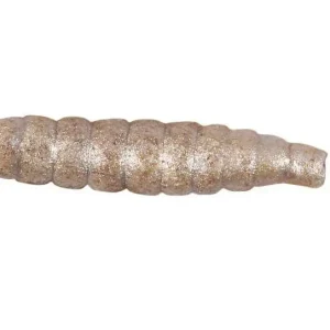 Premium Eft powercatch wasmot garlic natural