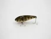 Taipan racket dancer 60mm Ghost Perch Beperkte Voorraad