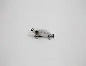 Seizoensaanbieding Taipan humpback 33mm matt white
