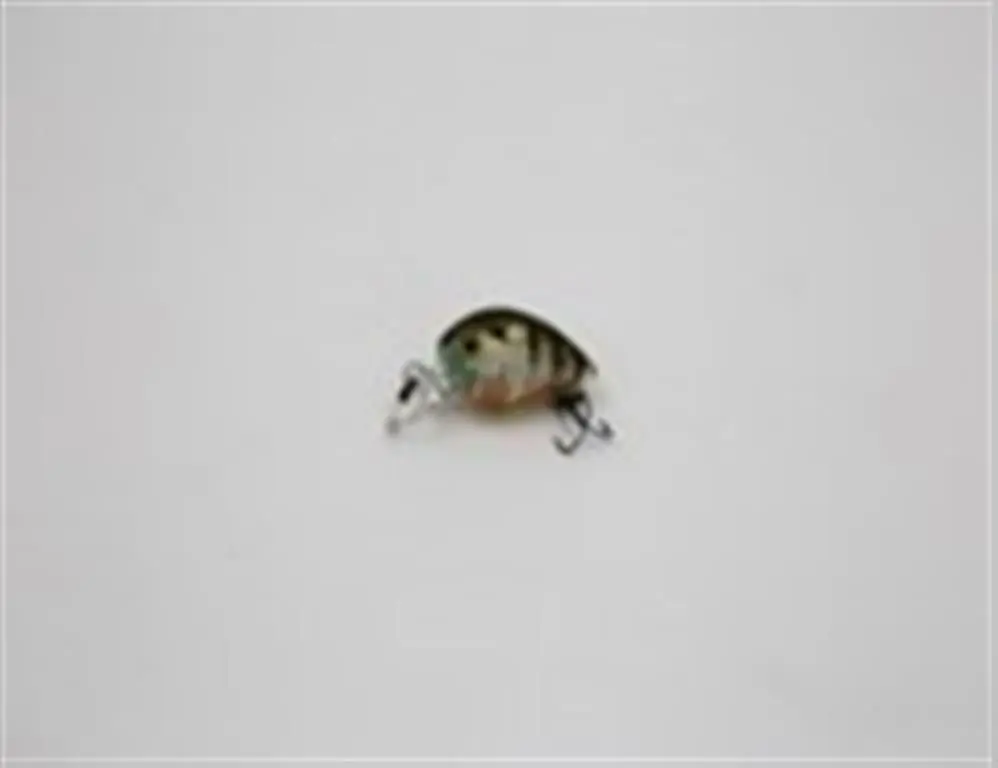 Taipan little crank 27mm ghost us perch Lage Kosten