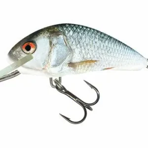 Favoriet Salmo Hornet 5cm Floating Real Dace