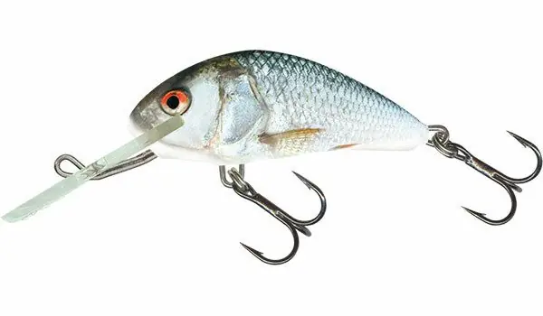 Favoriet Salmo Hornet 5cm Floating Real Dace