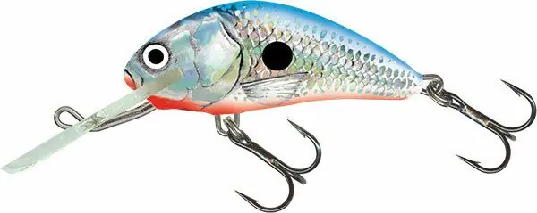 Betrouwbaar Salmo Hornet 4cm Silver Blue Shad