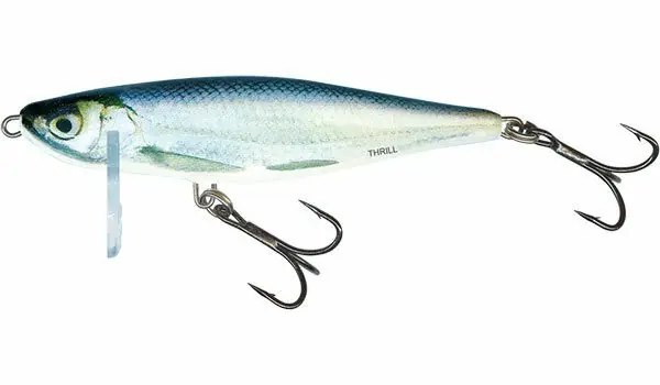 Salmo Thrill 5cm Sinking Real Bleak Seizoensaanbieding