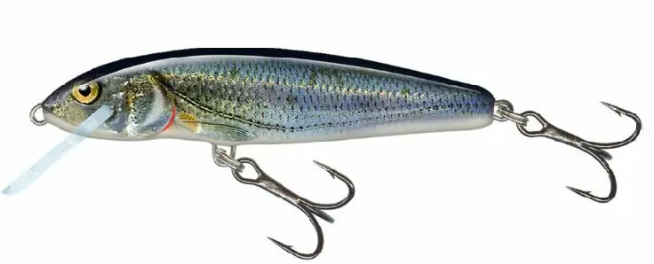 Dagaanbieding Salmo Minnow 5cm Floating Spirlin