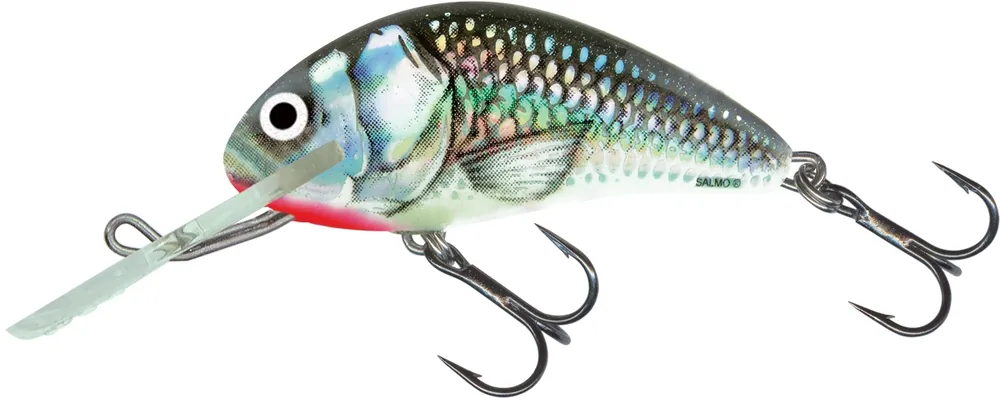 Merkproduct Salmo Hornet 6cm. Sinking