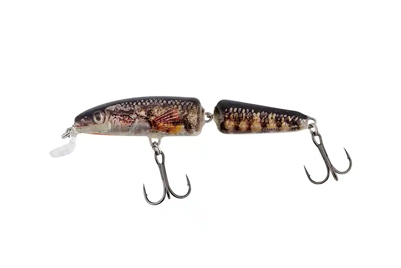 Koop Vandaag Salmo Fanatic Floating 7cm/5gr