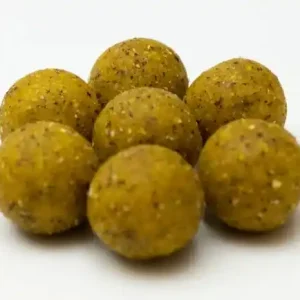 Alleen Vandaag Vismania Premium Voerboilie Scopex 20mm