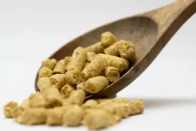 Vismania Babycorn Pellets Original 8mm Beste Prijs