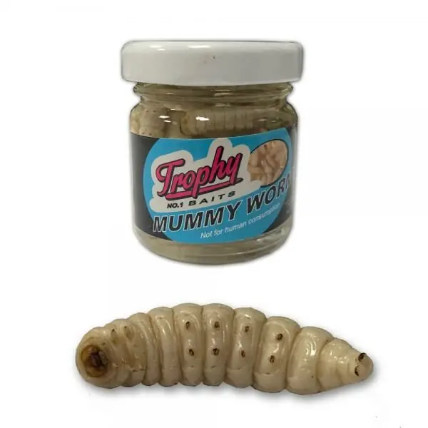 Direct Beschikbaar Thropy Baits Mummy Worms White