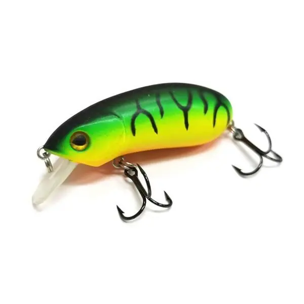Alleen Vandaag Dam Effzett Fatty Perch