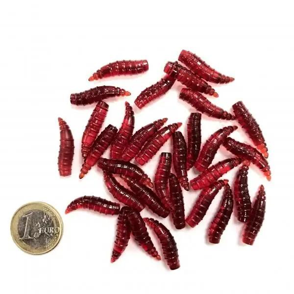 Trabucco Slurp Maggot XL 30st. Weekendaanbieding