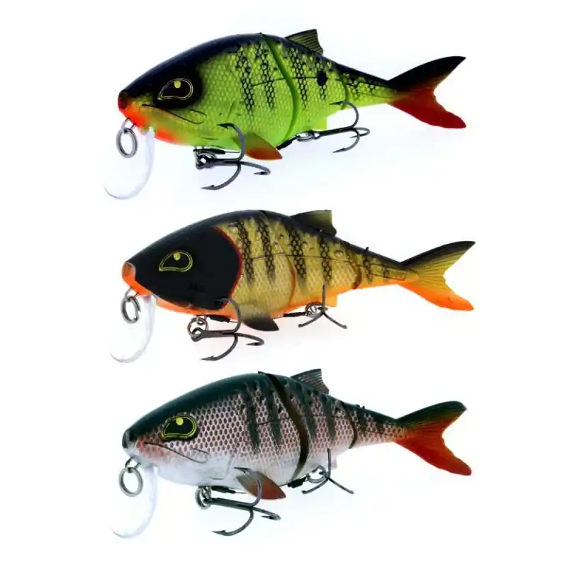Express Levering Rozemeijer Sweet Meat 18cm 95g Golden Roach