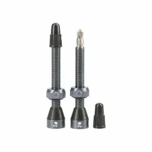 Laatste Versie Tubeless Tubolight Ventielen paar Grijs