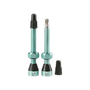 Tubolight Ventielen paar Turquoise Betaalbaar